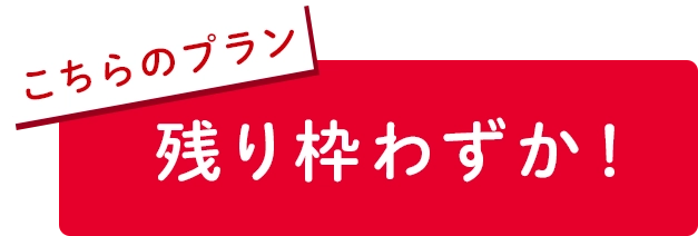 残りわずか！