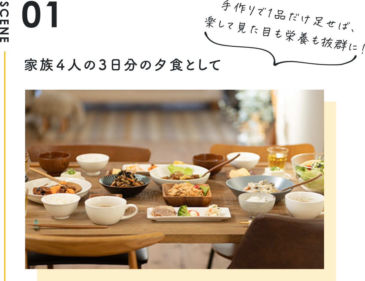 家族4人の2日分の夕食として