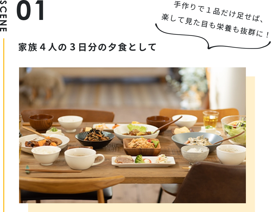 家族4人の2日分の夕食として